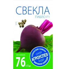 СЕМЕНА  СВЕКЛА  